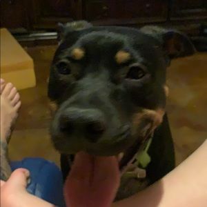 Meet your Posher, Casey